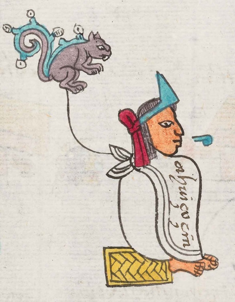 Ahuitzotl depicted in the Codex Mendoza, folio 13r