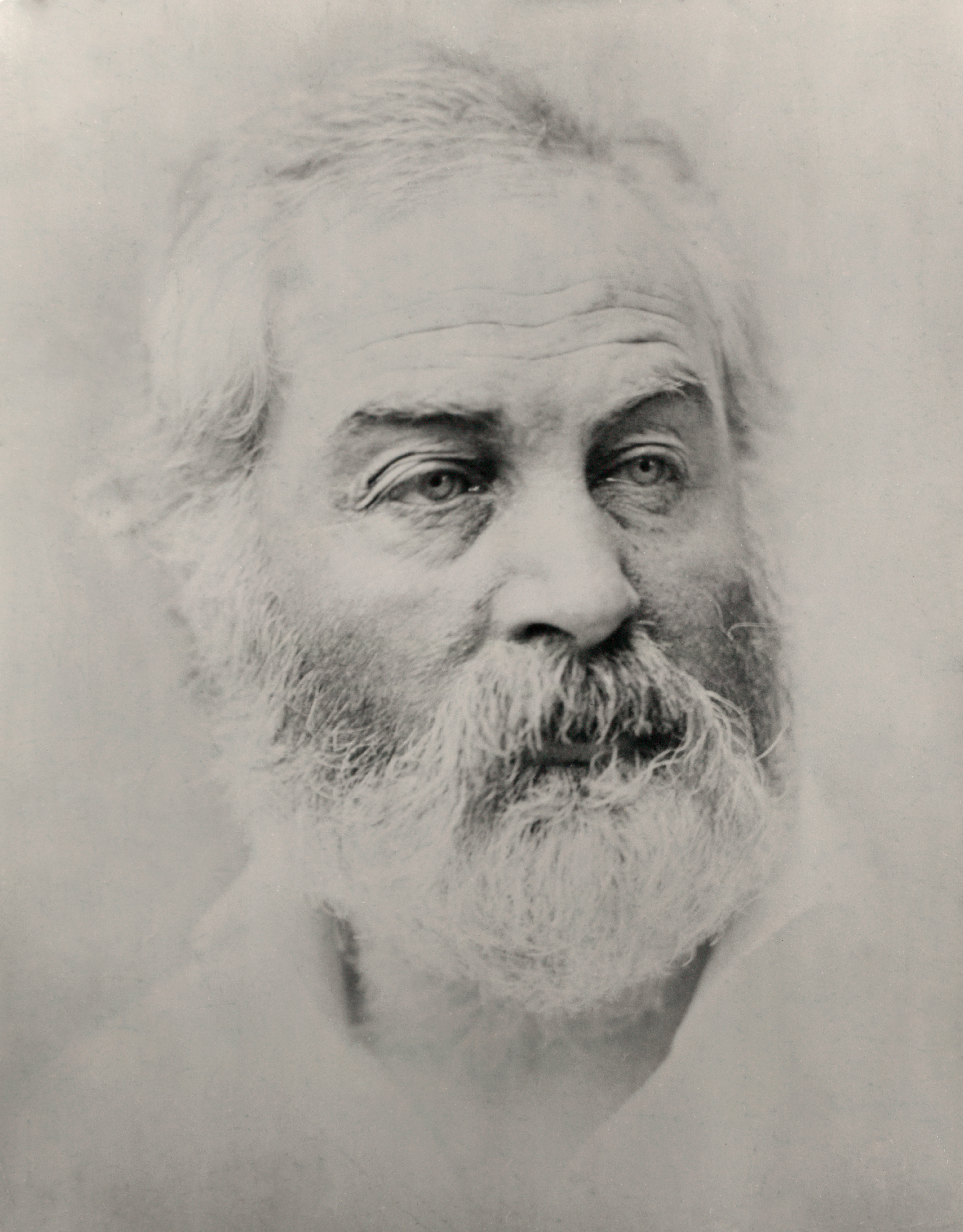 Portrait of Walt Whitman